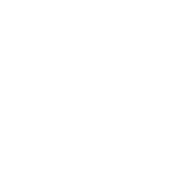Führerschein
